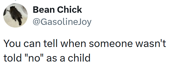 Bean Chick @GasolineJoy You can tell when someone wasn't told "no" as a child