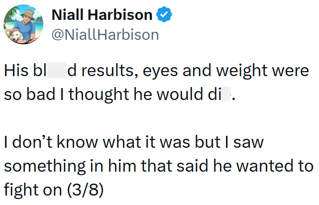 Niall Harbison ❤ @NiallHarbison His bled results, eyes and weight were so bad I thought he would di . I don't know what it was but I saw something in him that said he wanted to fight on (3/8)