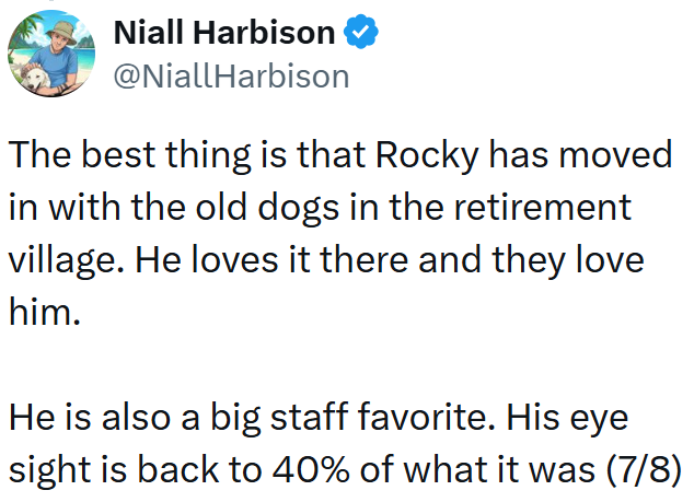 Niall Harbison ❤ @NiallHarbison The best thing is that Rocky has moved in with the old dogs in the retirement village. He loves it there and they love him. He is also a big staff favorite. His eye sight is back to 40% of what it was (7/8)