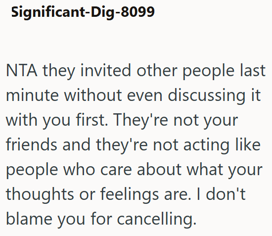 Significant-Dig-8099 NTA they invited other people last minute without even discussing it with you first. They're not your friends and they're not acting like people who care about what your thoughts or feelings are. I don't blame you for cancelling.