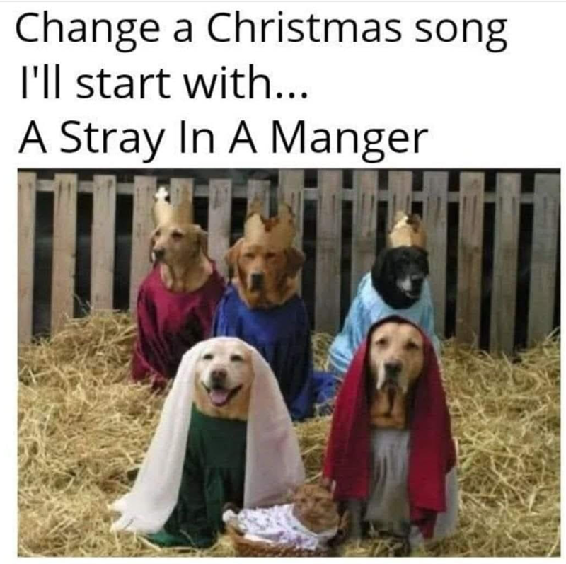 Change a Christmas song I'll start with... A Stray In A Manger