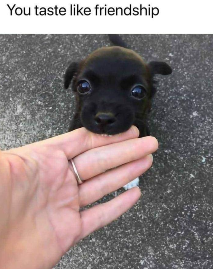 You taste like friendship
