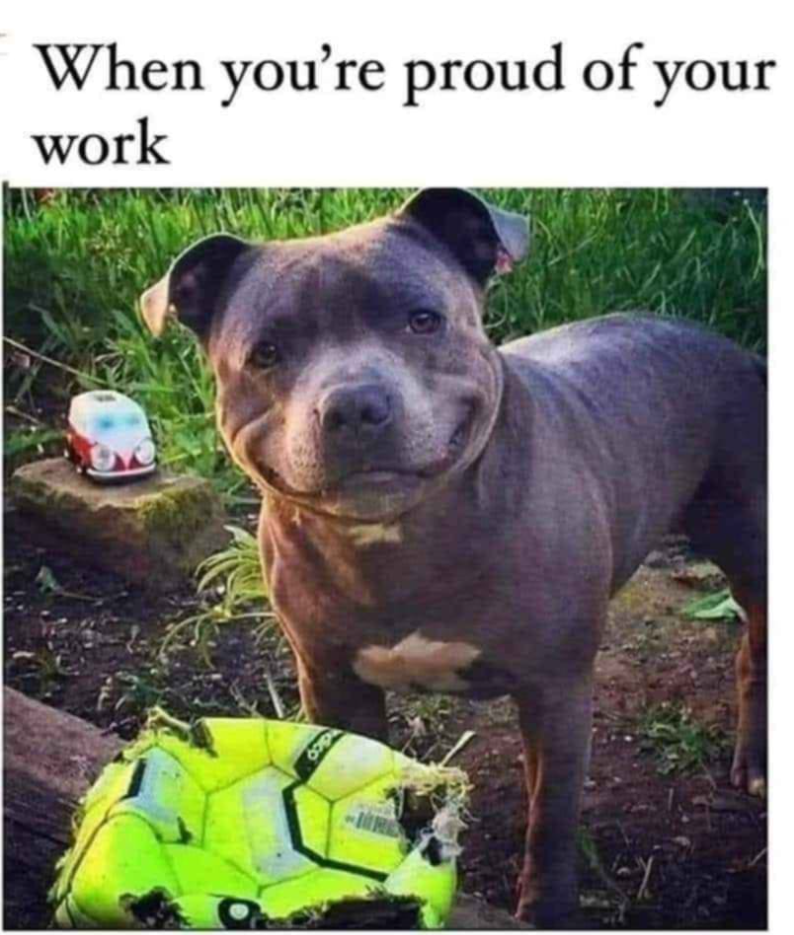 When you're proud of your work dico