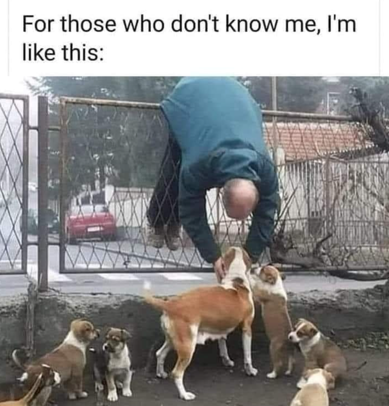 For those who don't know me, I'm like this: