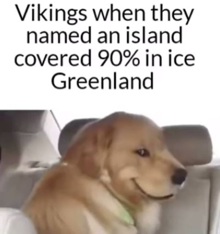 Vikings when they named an island covered 90% in ice Greenland