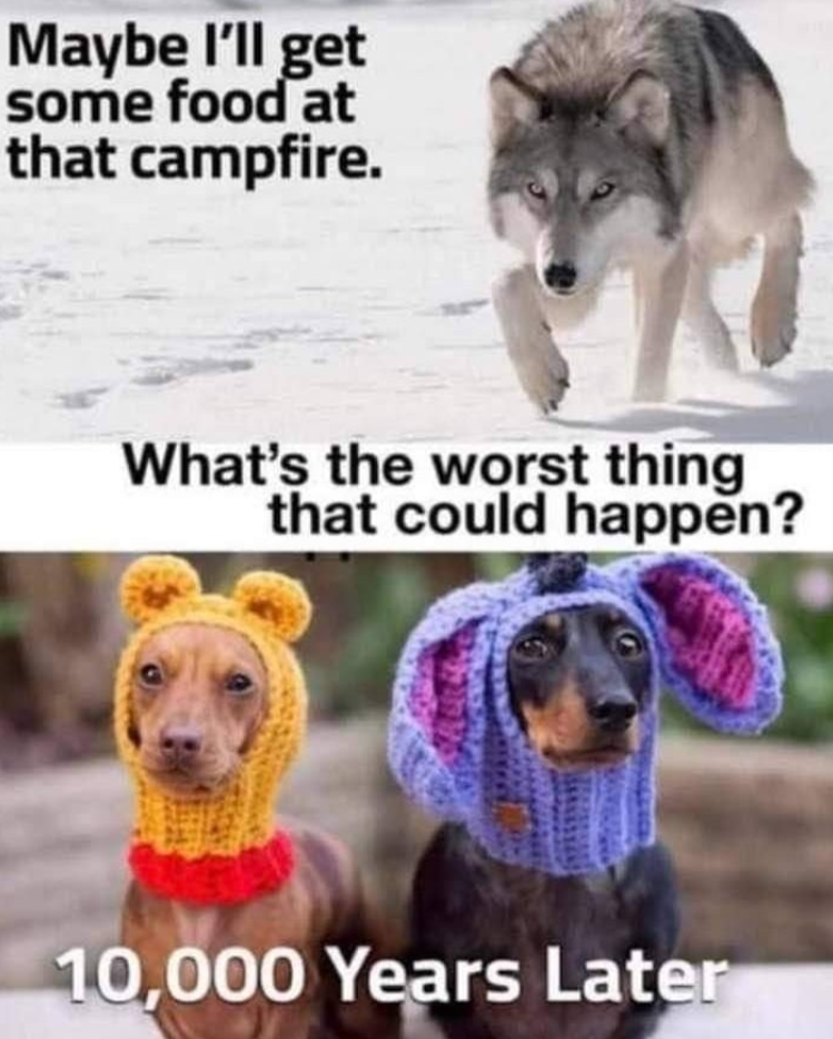 Maybe I'll get some food at that campfire. What's the worst thing that could happen? 10,000 Years Later