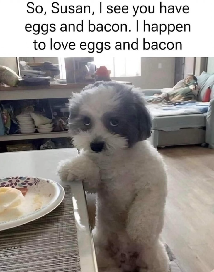 So, Susan, I see you have eggs and bacon. I happen to love eggs and bacon