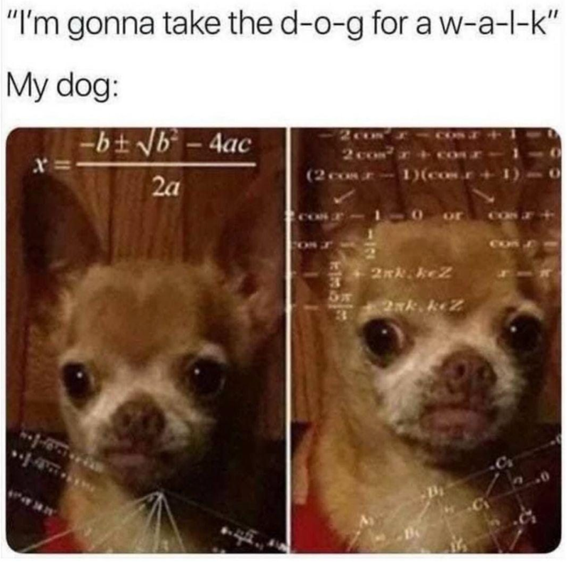 "I'm gonna take the d-o-g for a w-a-l-k" My dog: -b±√√√b-4ac X= 2a (2 cosx-1) (cos + 1) CON 1-0 OF CON 8 2xk.keZ 5 2ak kez 3