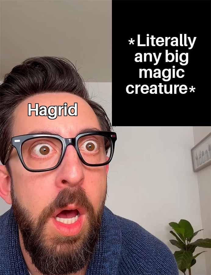 Hagrid *Literally any big magic creature*