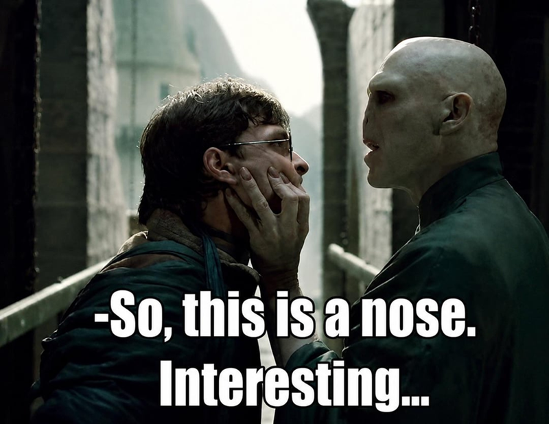 -So, this is a nose. Interesting...