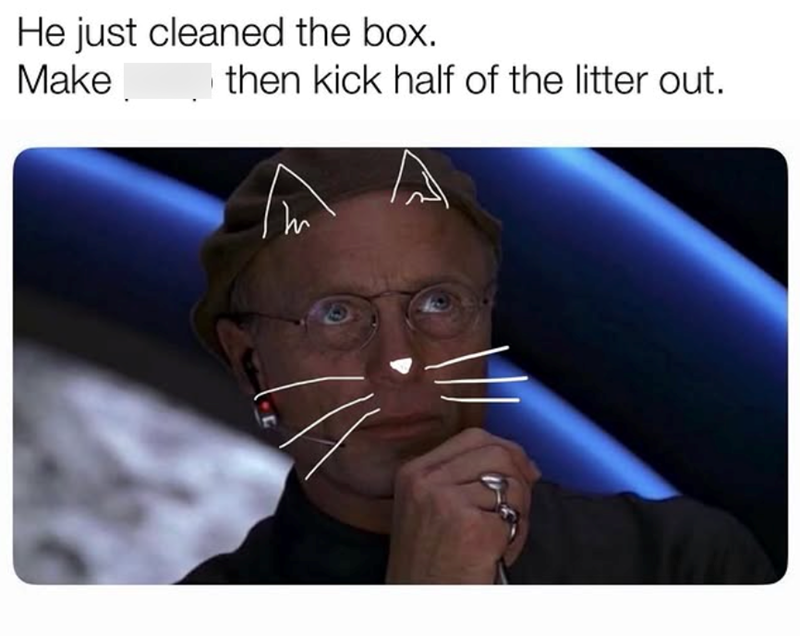 He just cleaned the box. Make then kick half of the litter out.
