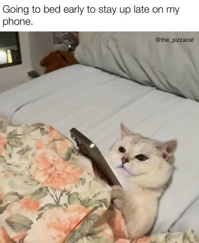 Going to bed early to stay up late on my phone. @the_pizzacat