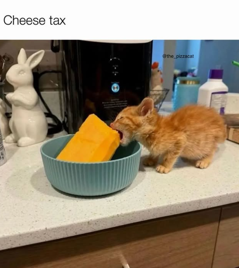Cheese tax @the_pizzacat