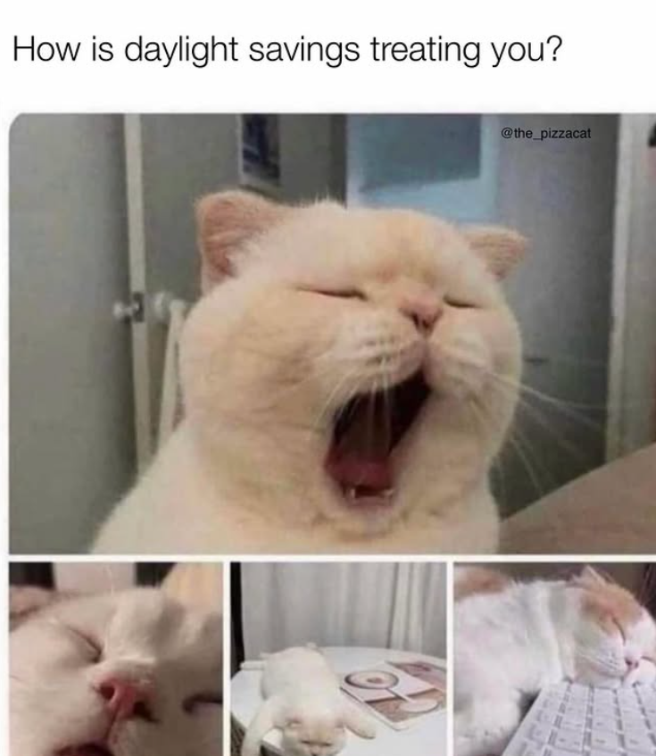 How is daylight savings treating you? @the_pizzacat