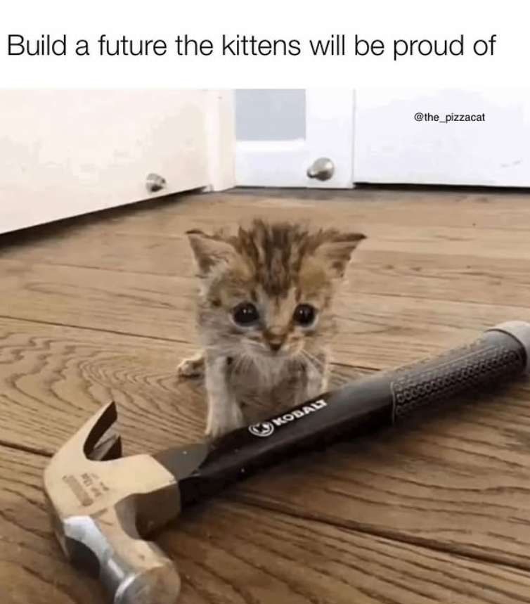 Build a future the kittens will be proud of KOBALT @the_pizzacat