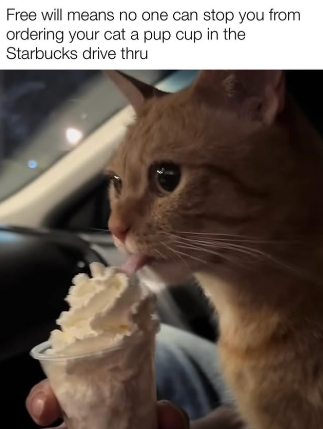 Free will means no one can stop you from ordering your cat a pup cup in the Starbucks drive thru