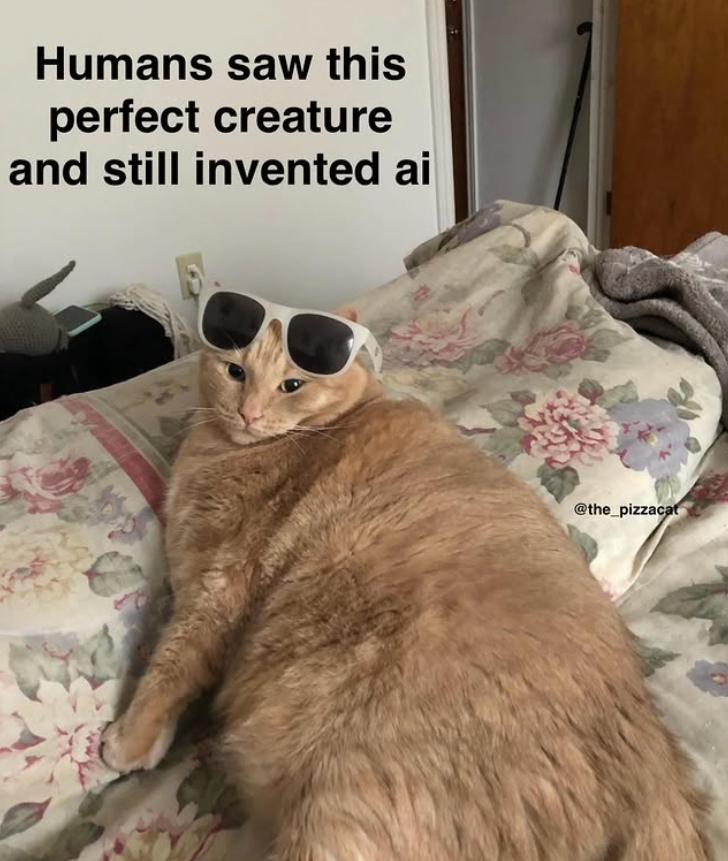 Humans saw this perfect creature and still invented ai @the_pizzacat