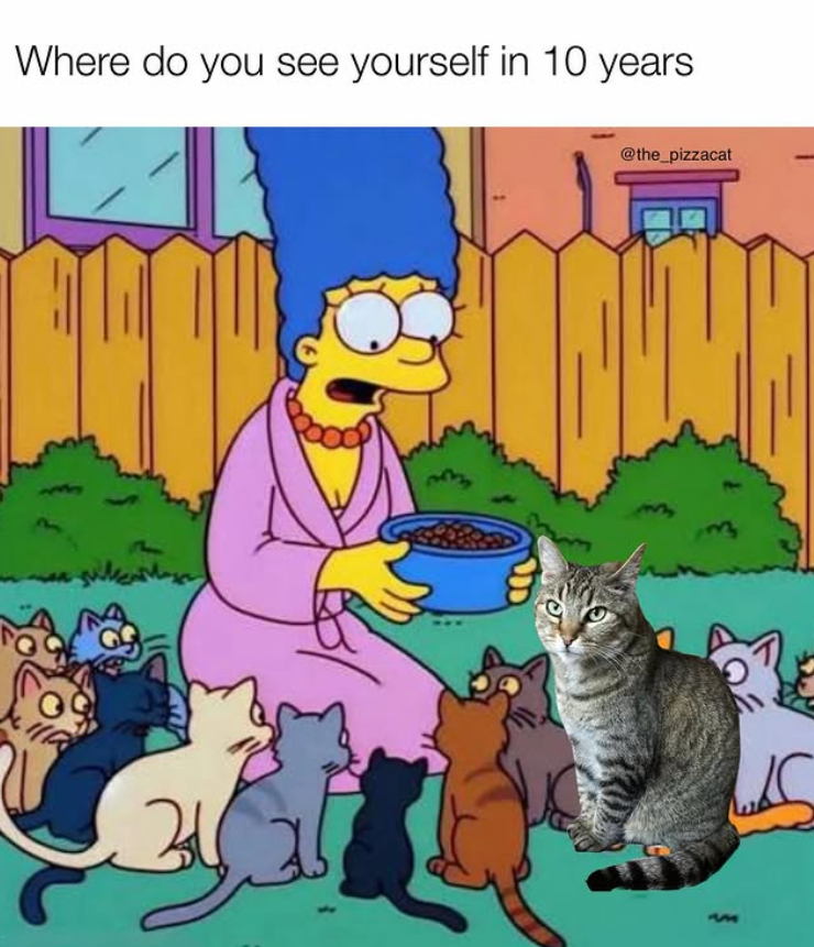 Where do you see yourself in 10 years 34 @the_pizzacat