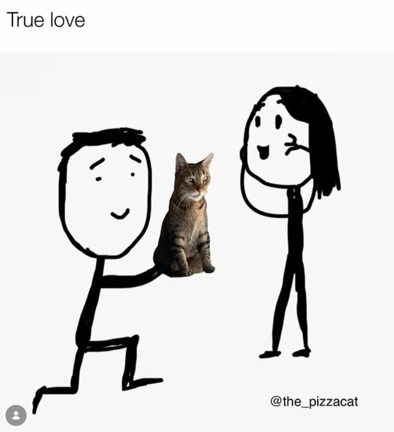 True love @the_pizzacat
