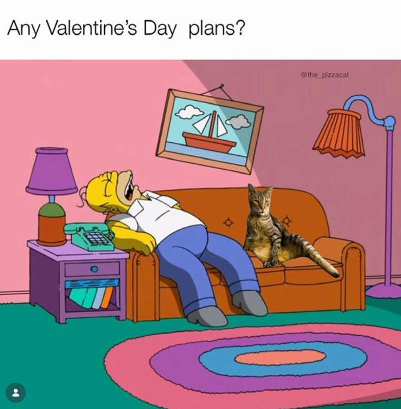 Any Valentine's Day plans? τα @the_pizzacat