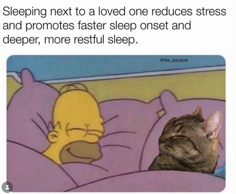 Sleeping next to a loved one reduces stress and promotes faster sleep onset and deeper, more restful sleep. @the_pizzacat