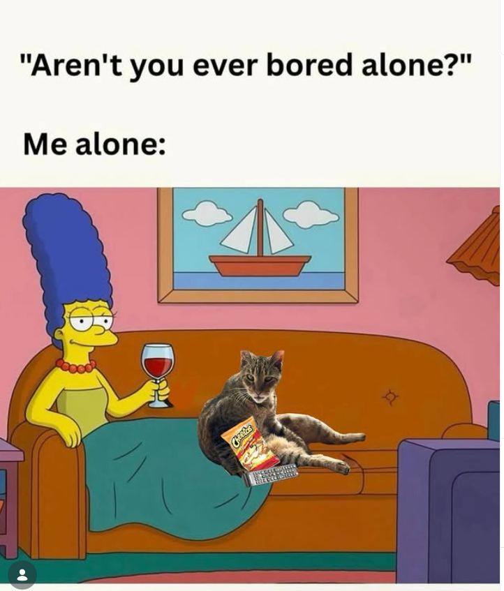 "Aren't you ever bored alone?" Me alone: Cheetar