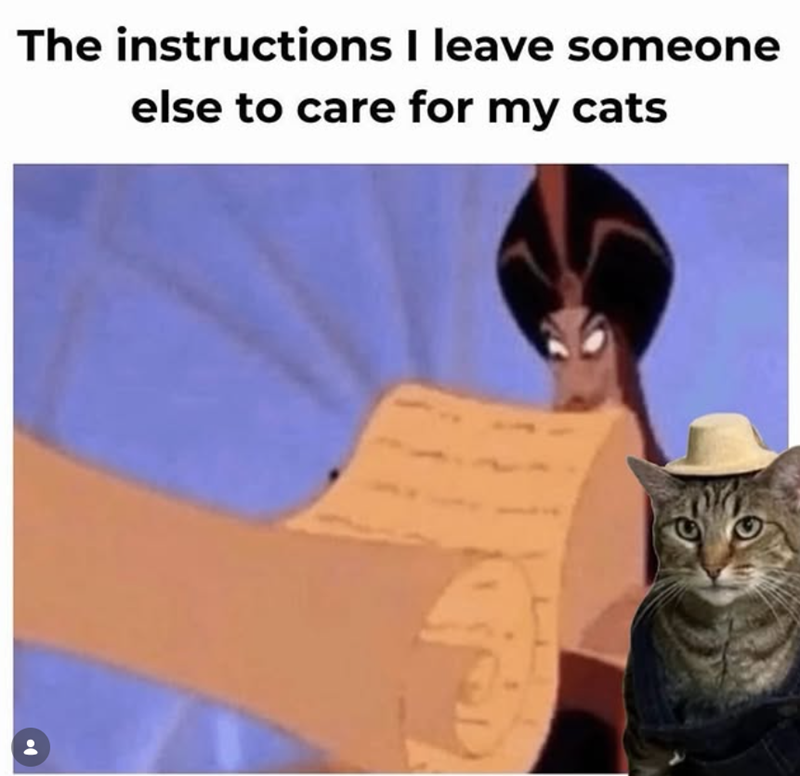 The instructions I leave someone else to care for my cats