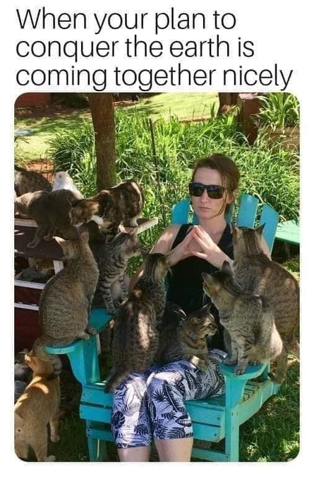When your plan to conquer the earth is coming together nicely