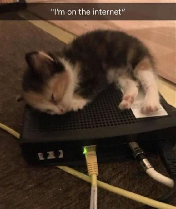 "I'm on the internet" [1]