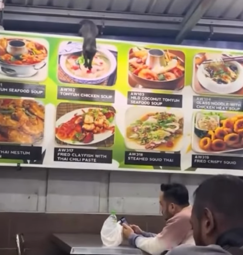 UM SEAFOOD SOUP HAI NESTUM AW102 TONYUM CHICKEN SOUP AWS HILD COCONUT TOHYUM SEAFOOD SOUP AW104 OLASS NOODLE WITH CHICKEN HEAT SOUP AW317 FRIED CLAYFISH WITH THAI CHILI PASTE AWON STEAMED SQUID THAI AW319 FRIED CRISPY SQUID