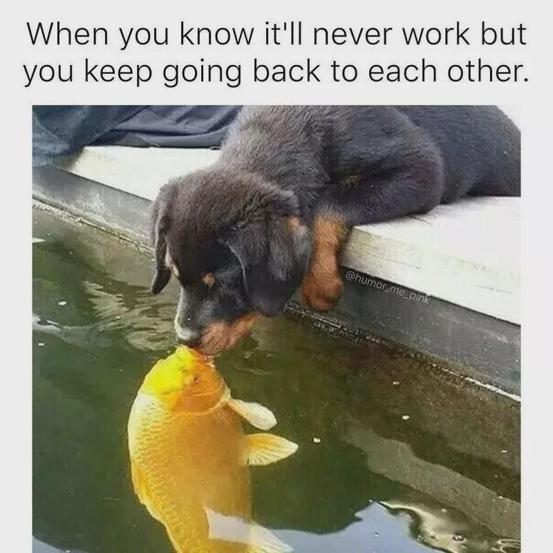 When you know it'll never work but you keep going back to each other. @humor_me_pink