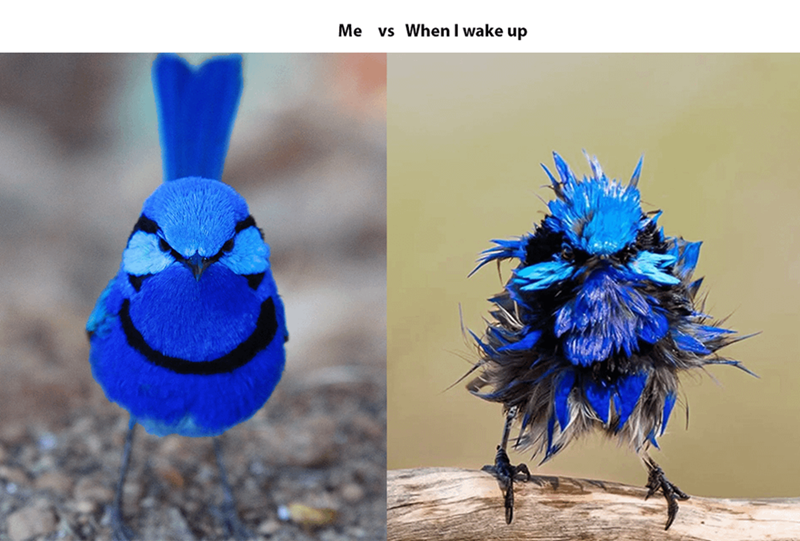 Me vs When I wake up