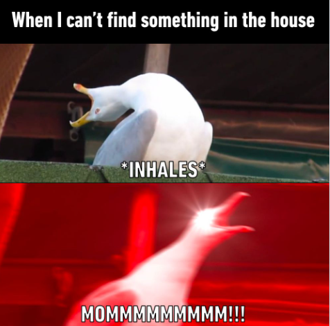 When I can't find something in the house *INHALES* MOMMMMMMMMM!!!