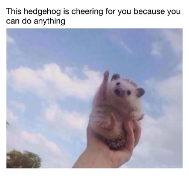 This hedgehog is cheering for you because you can do anything
