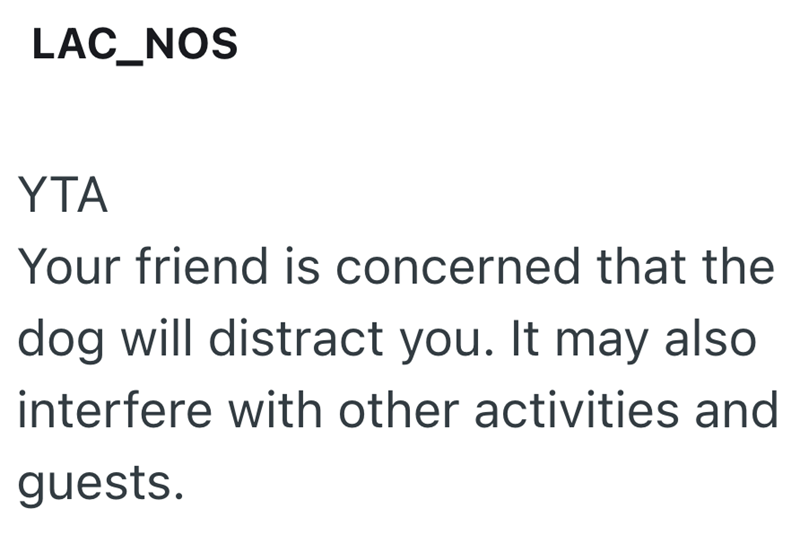 LAC_NOS YTA Your friend is concerned that the dog will distract you. It may also interfere with other activities and guests.