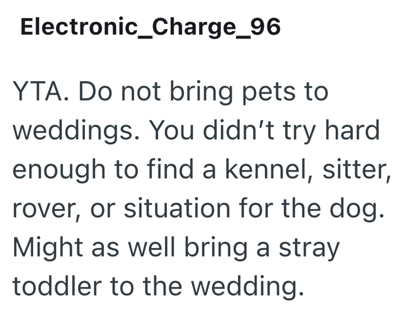 Electronic_Charge_96 YTA. Do not bring pets to weddings. You didn't try hard enough to find a kennel, sitter, rover, or situation for the dog. Might as well bring a stray toddler to the wedding.