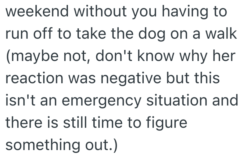 weekend without you having to run off to take the dog on a walk (maybe not, don't know why her reaction was negative but this isn't an emergency situation and there is still time to figure something out.)