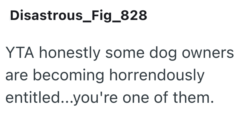 Disastrous_Fig_828 YTA honestly some dog owners are becoming horrendously entitled...you're one of them.