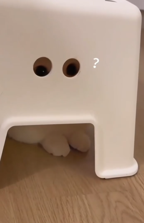 ?
