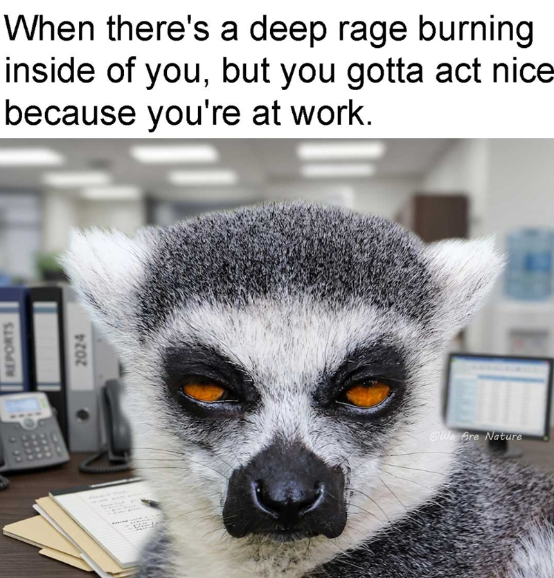 REPORTS 2024 When there's a deep rage burning inside of you, but you gotta act nice because you're at work. @We Are Nature