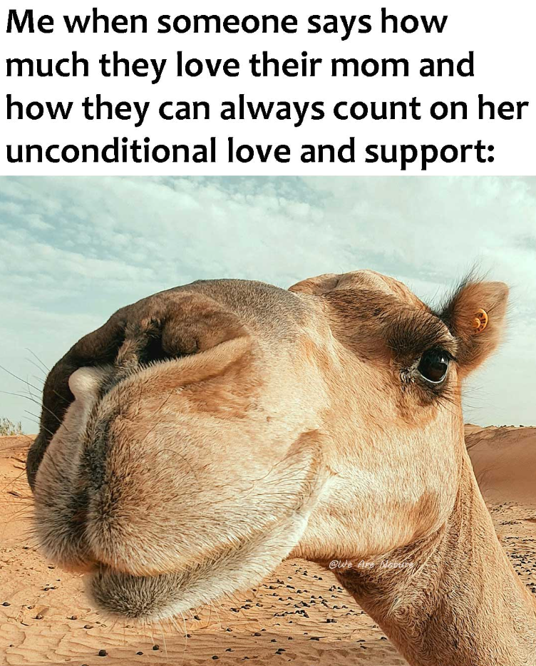 Me when someone says how much they love their mom and how they can always count on her unconditional love and support: @We Are Mature