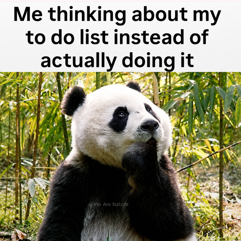 Me thinking about my to do list instead of actually doing it @We Are Nature