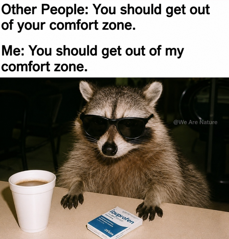 Other People: You should get out of your comfort zone. Me: You should get out of my comfort zone. ibuprofen Min 2 2008 @We Are Nature