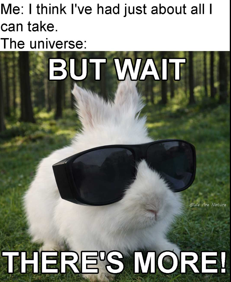 Me: I think I've had just about all I can take. The universe: BUT WAIT @We Are Nature THERE'S MORE!