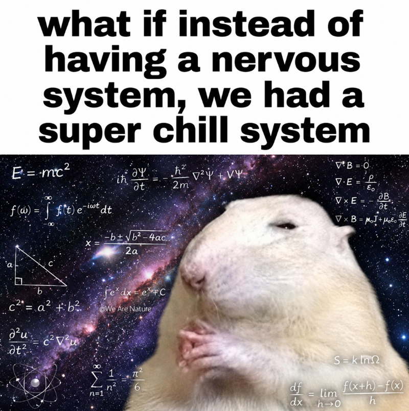 what if instead of having a nervous system, we had a super chill system E = mc² ay ih h² ² + VY at 2m f ƒ (w) = f(t) e¯iwt dt. X = -b±√b2-4ac 2a b. 2 c²* = a² +b² fe* dx = e+C @We Are Nature ги at² n=1 M8 37 1 π 6 df dx = V.E= VB O P Eo дв VxE= at ДЕ VxB= p² +μ₂ε at S=kin f(x+h)-f(x) lim 044 h