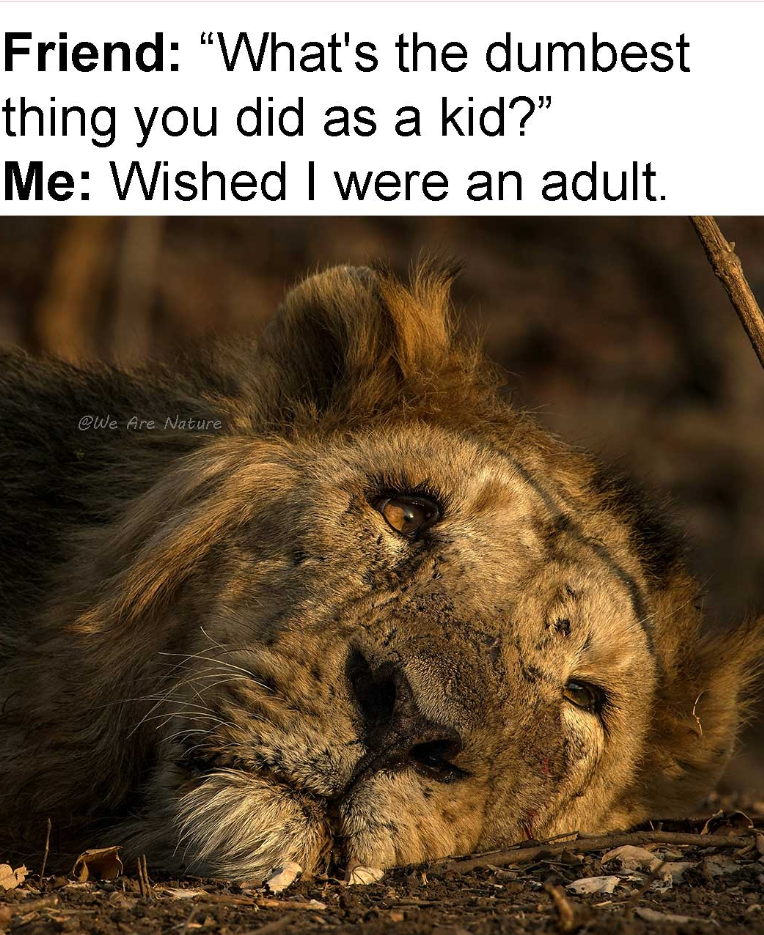 Friend: "What's the dumbest thing you did as a kid?" Me: Wished I were an adult. @We Are Nature