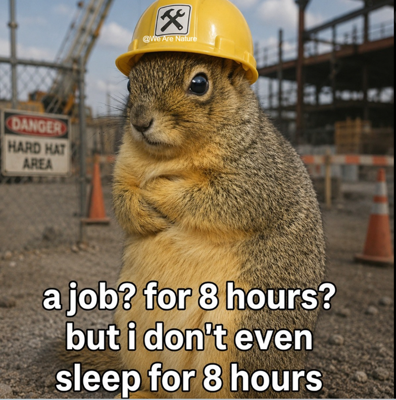 DANGER HARD HAT AREA X @We Are Nature a job? for 8 hours? but i don't even sleep for 8 hours