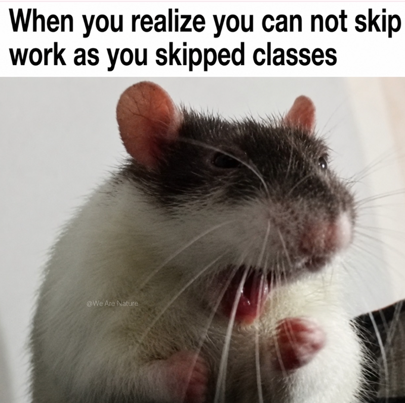 When you realize you can not skip work as you skipped classes @We Are Nature