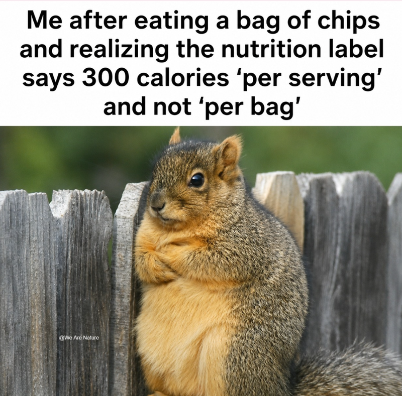 Me after eating a bag of chips and realizing the nutrition label says 300 calories 'per serving' and not 'per bag' @We Are Nature