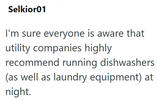 Selkior01 I'm sure everyone is aware that utility companies highly recommend running dishwashers (as well as laundry equipment) at night.